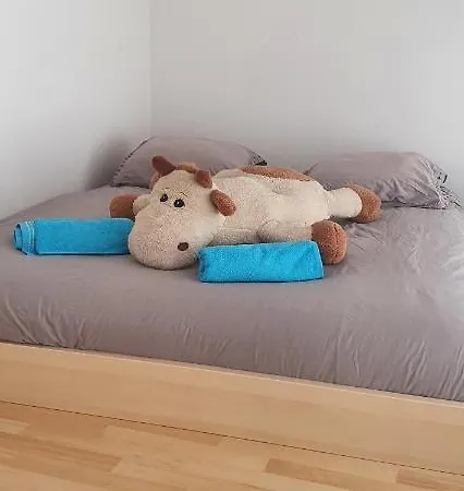 Joshroom Проживание в семье Caux